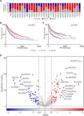 In silico analysis of the solute carrier (SLC) family in cancer indicates a link among DNA methylation, metabolic adaptation, drug response, and immune reactivity